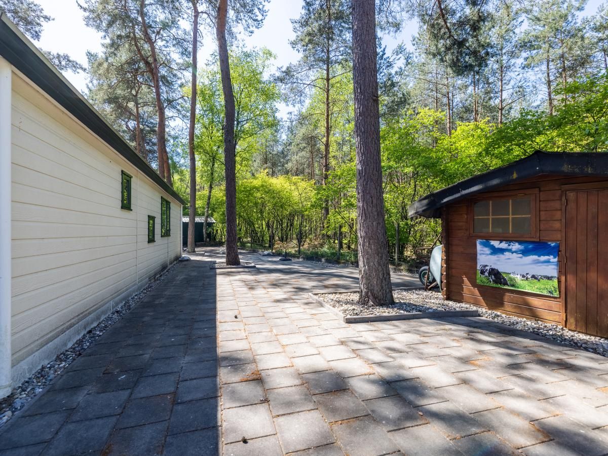 Unterkunft 324339 - Chalet Veluwe - Herfstblos