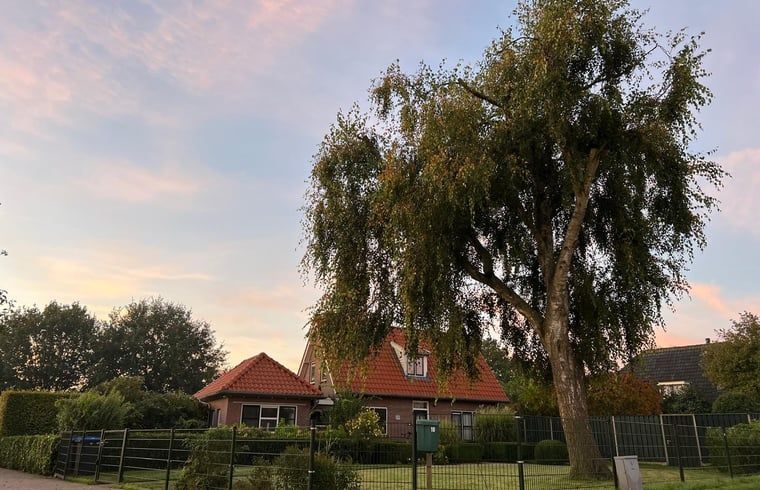 Ferienhaus in Wapenveld, Veluwe, Gelderland mit grossem Garten und gruener Umgebung, ideal zum Entspannen in der Natur.