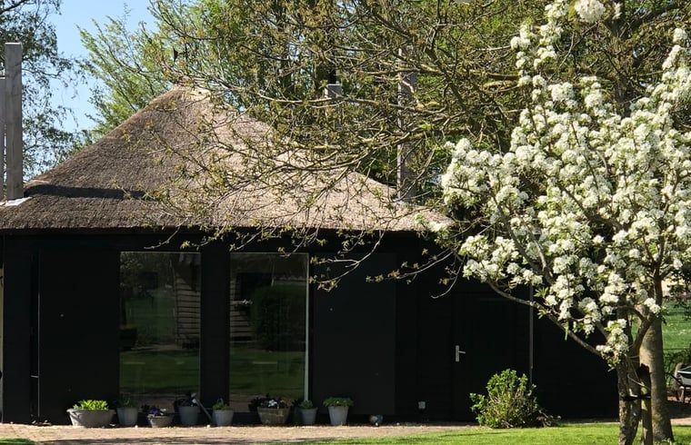 Cottage in Wapenveld, a charming cottage in the Veluwe in Gelderland, surrounded by green nature and flowering trees.