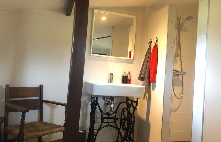 Guest house 324412 - Holiday property Veluwe - Huisje in Wapenveld