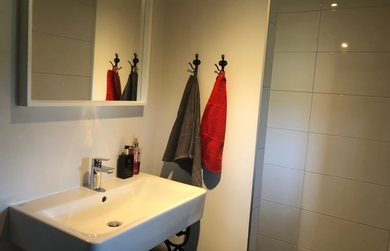 Guest house 324412 - Holiday property Veluwe - Huisje in Wapenveld