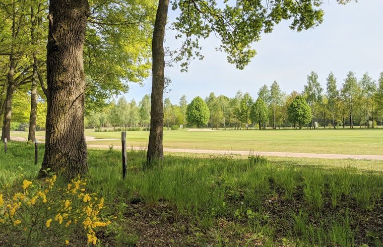 Prachtig uitzicht op de natuur rondom vakantiehuisje in Lieren, Veluwe, met groene velden.