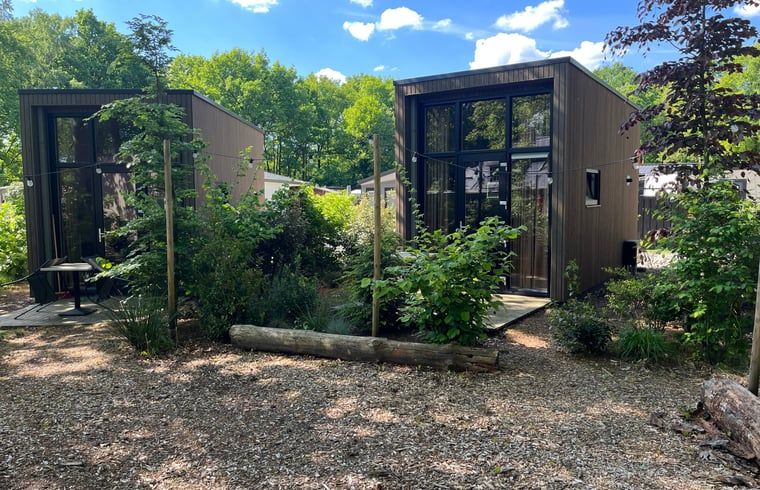 Ferienhaus in Lieren, umgeben von gruener Natur in der Veluwe, Gelderland.