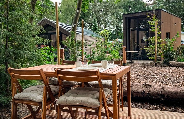 Outdoor dining at Holiday Home in Lieren, surrounded by nature.