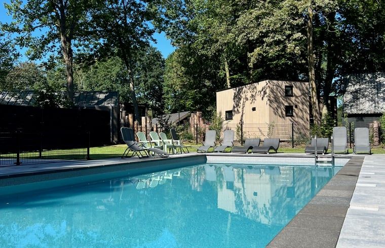 Swimming Pool at Holiday Home in Lieren, Veluwe, Gelderland.