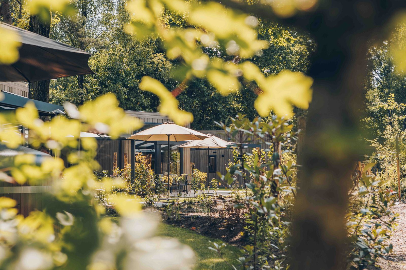 Verblijf 325341 - Vakantiewoning Veluwe - Reeëndal Lodge Comfort