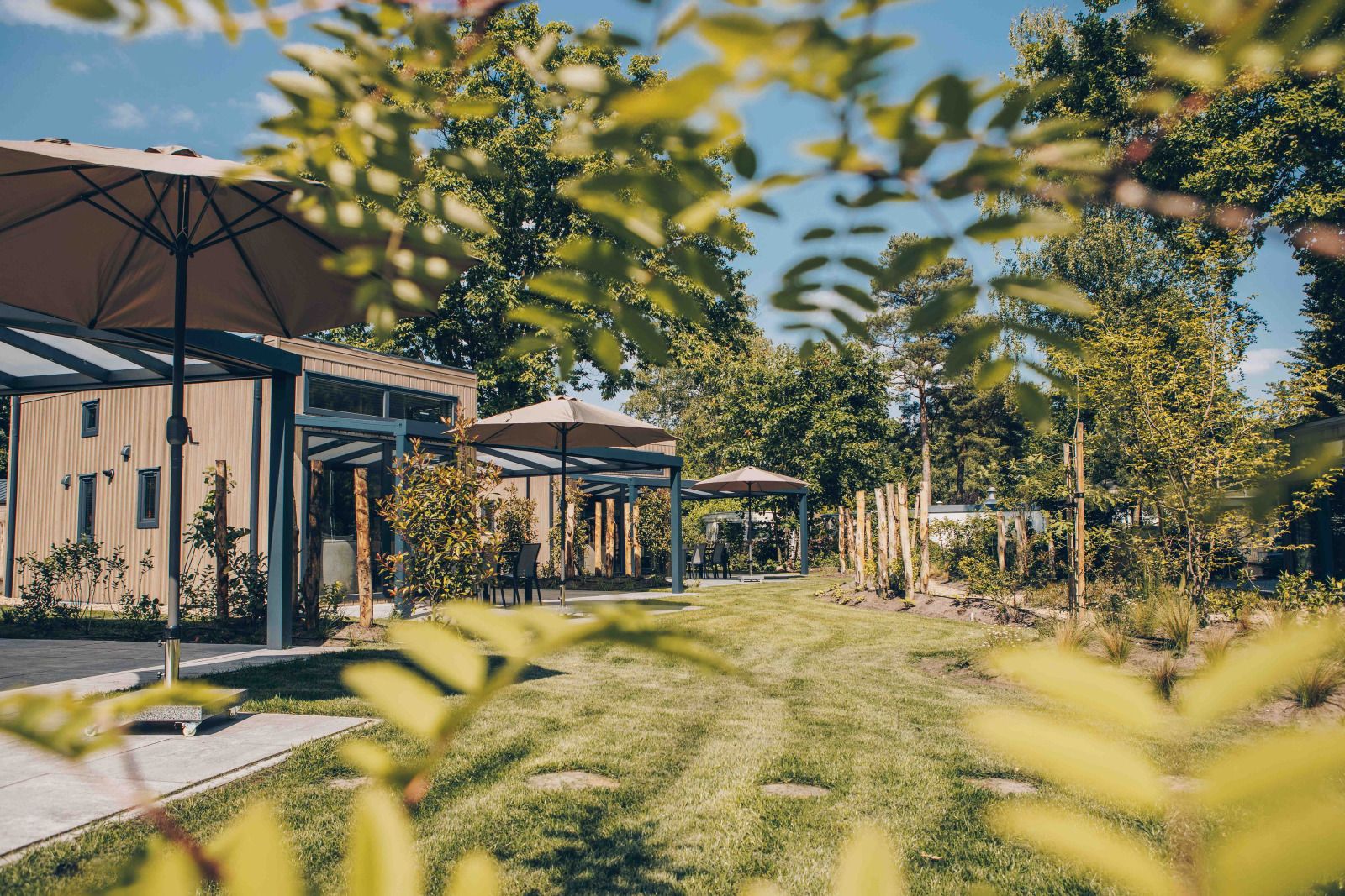 Verblijf 325341 - Vakantiewoning Veluwe - Reeëndal Lodge Comfort