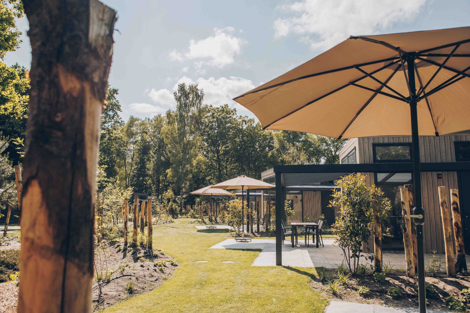 Verblijf 325341 - Vakantiewoning Veluwe - Reeëndal Lodge Comfort