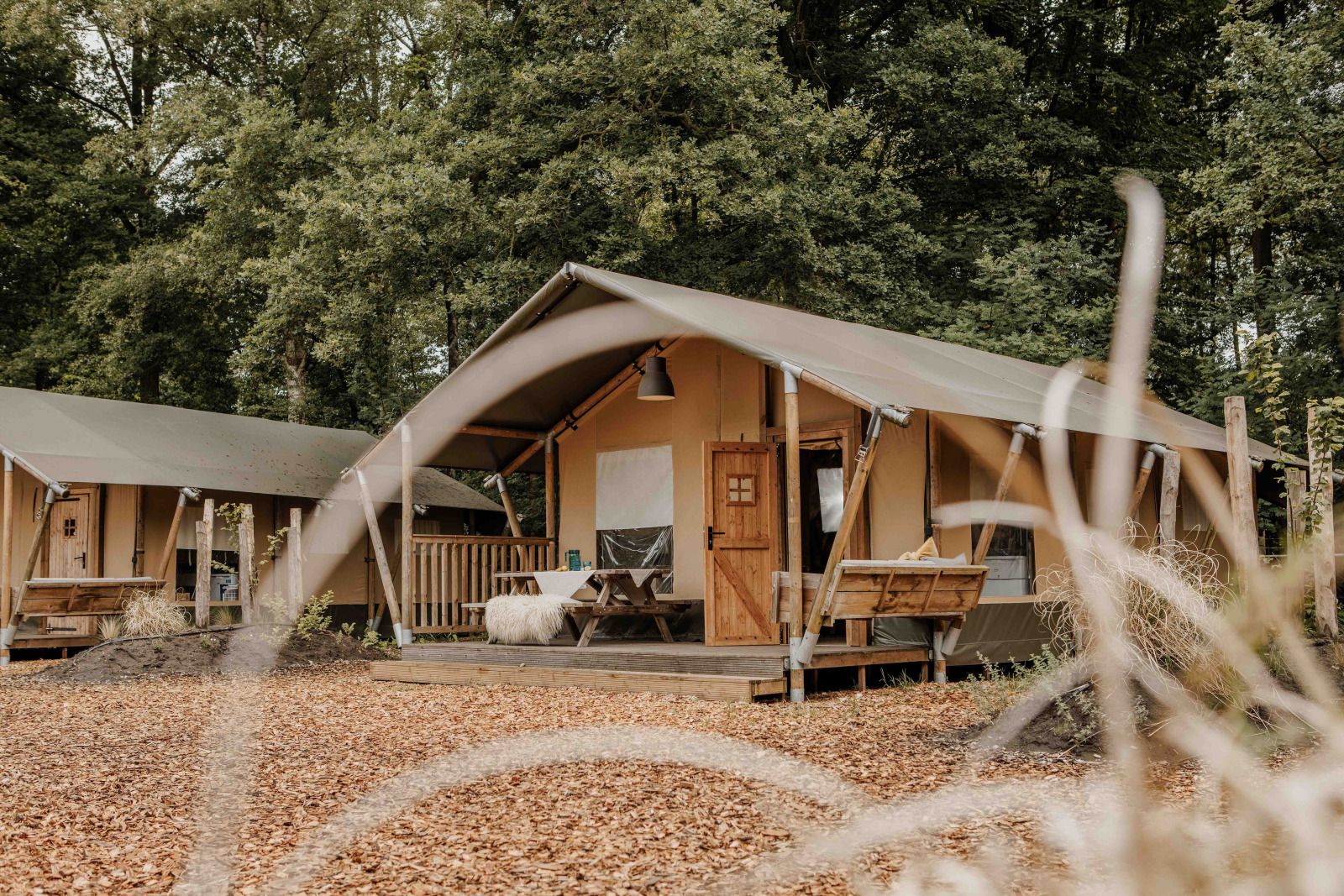 Unterkunft 325344 - Zelthaus Veluwe - Safaritent