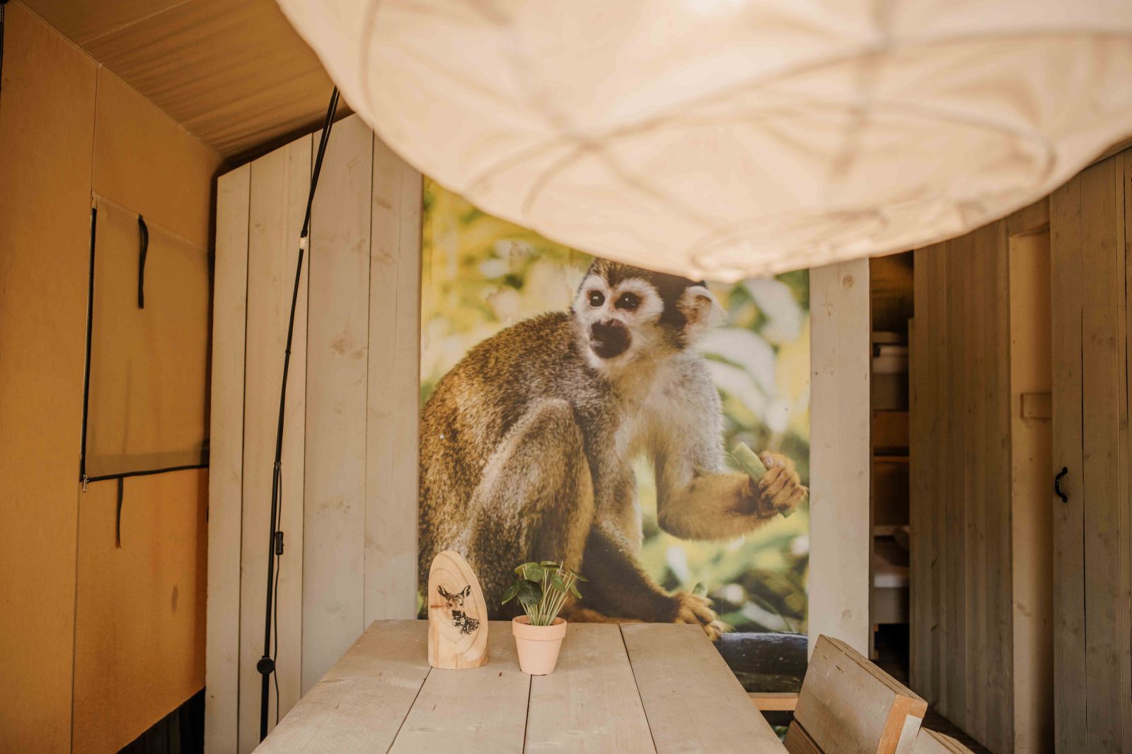 Unterkunft 325344 - Zelthaus Veluwe - Safaritent