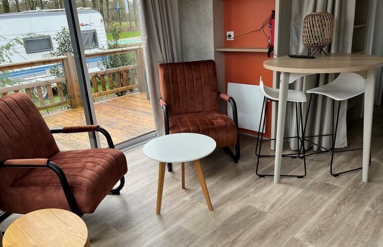 Comfortabele zithoek in Vakantiehuis in Lieren, Veluwe, Gelderland met moderne meubels.