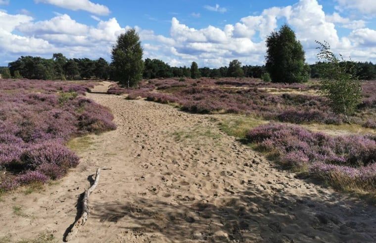Verblijf 325516 - Vakantiewoning Veluwe - Vakantiehuisje in Wekerom