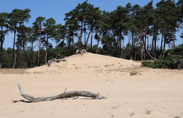 Verblijf 325516 - Vakantiewoning Veluwe - Vakantiehuisje in Wekerom