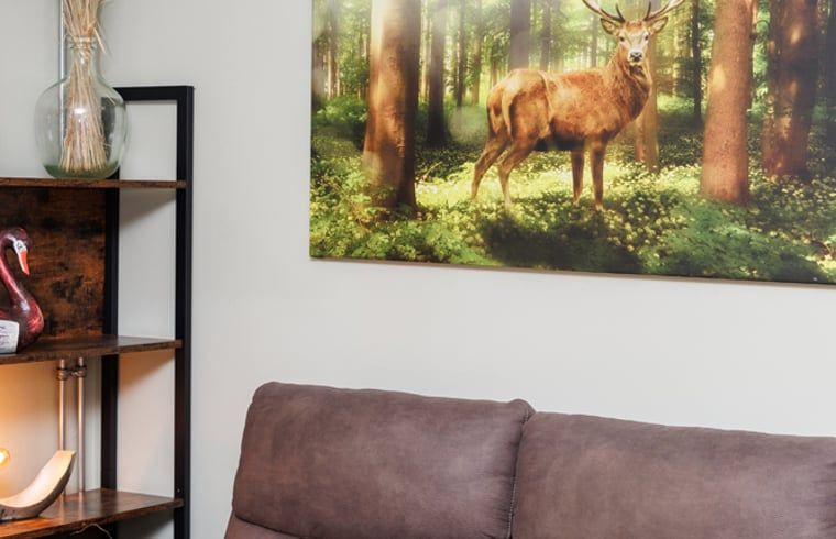 Woonkamer van Huisje in Wekerom, vakantieverblijf in Wekerom, Veluwe met kunst aan de muur.