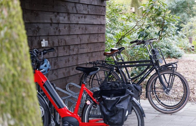 Fietsen bij Huisje in Wekerom, vakantieverblijf in Wekerom, ideaal voor fietstochten op de Veluwe.