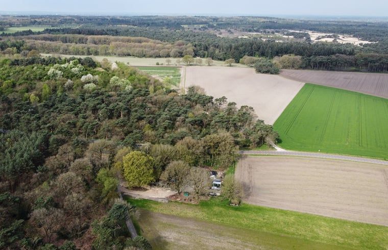 Panoramisch uitzicht over de Veluwe vanuit Huisje in Wekerom, vakantiewoning in Gelderland.