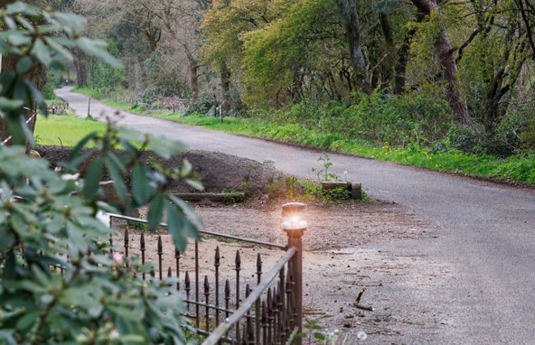 Toegangspad naar Huisje in Wekerom, vakantieverblijf in Wekerom, Veluwe omgeven door natuur.