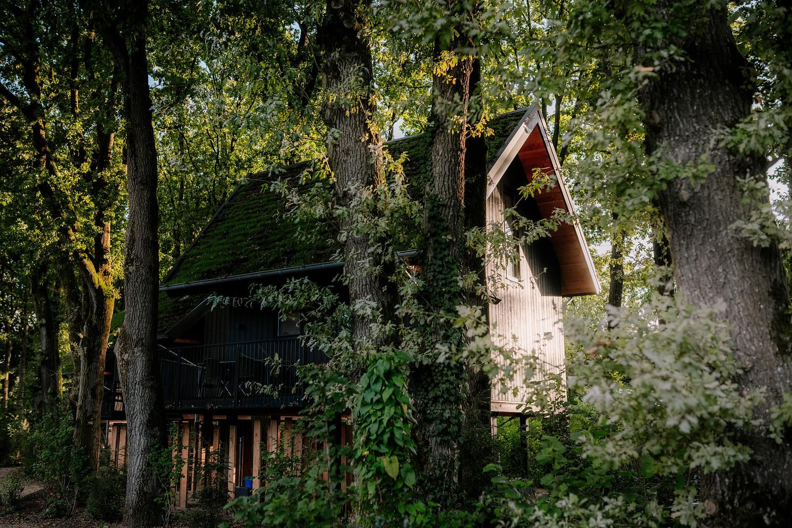Naturvilla mit Whirlpool & Sauna in Wekerom, Veluwe. Charmantes Ferienhaus umgeben von gruenen Waeldern, ideal zum Entspannen.