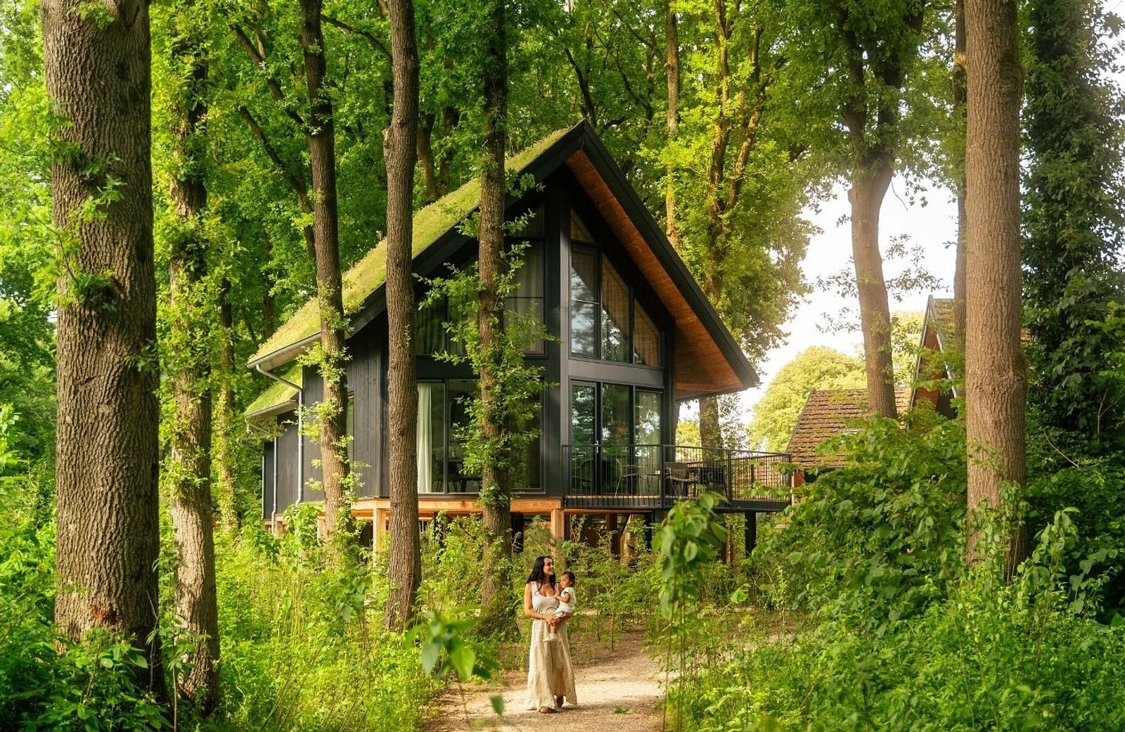 Gemuetliche Naturvilla mit Whirlpool und Sauna in Wekerom, Veluwe. Ferienhaus zwischen Baeumen versteckt fuer ultimative Privatsphaere.