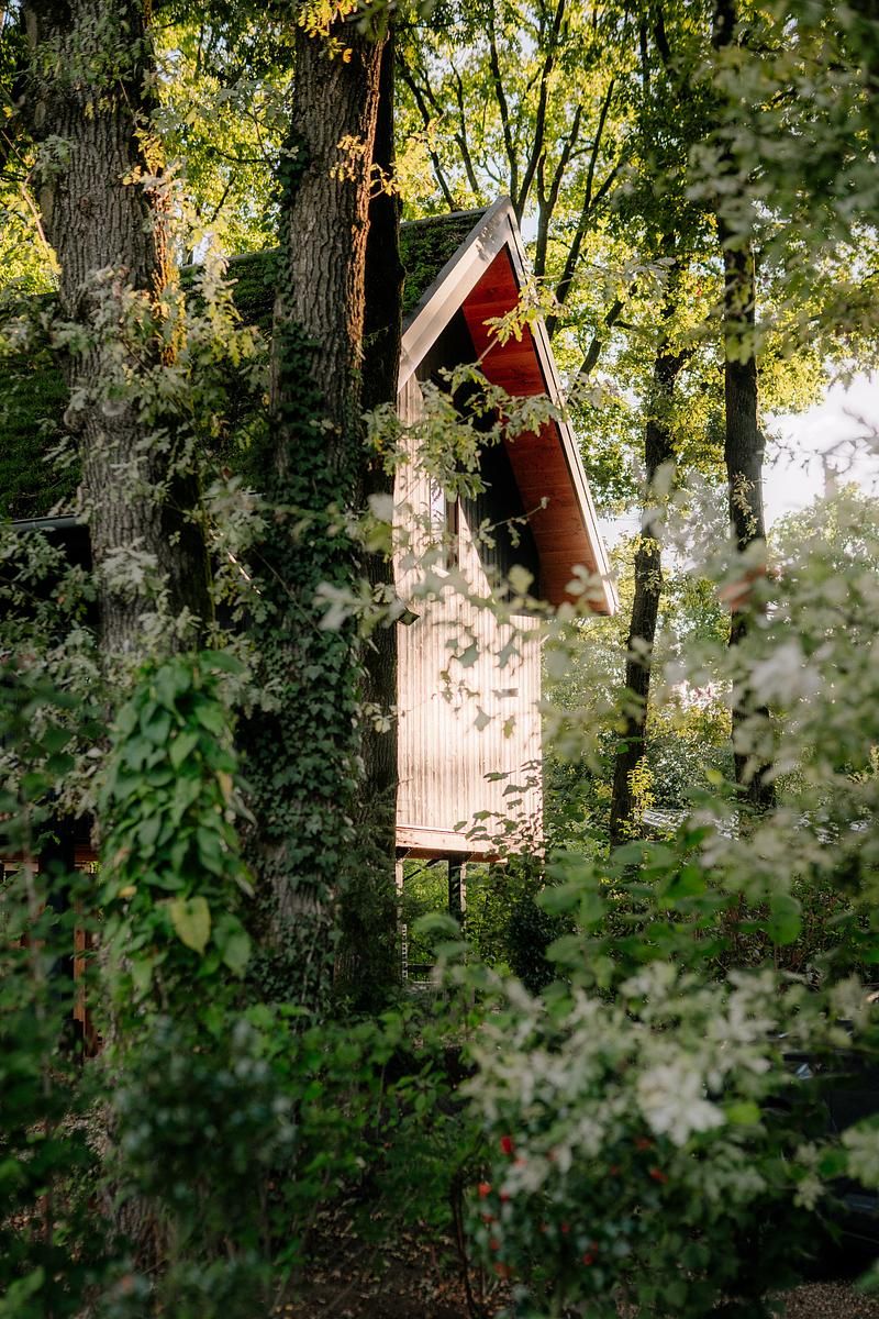 Veranda der Naturvilla mit Whirlpool & Sauna in Wekerom, Veluwe. Geniessen Sie die Aussicht auf die Natur von diesem Ferienhaus aus.