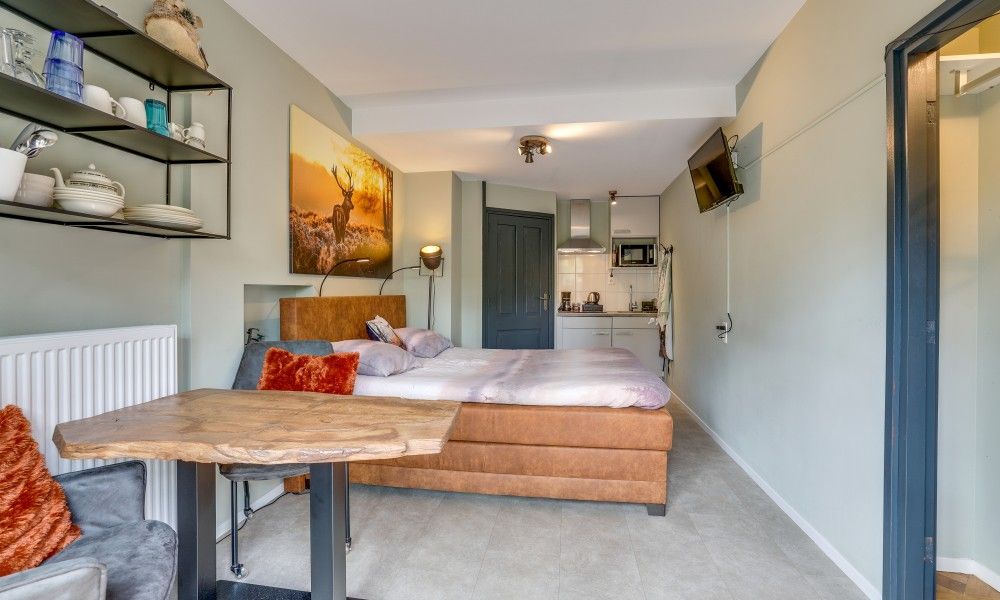 Gemuetlicher Innenraum des Studios REE, Bed and Breakfast in Wekerom, Veluwe mit Kochnische und gemuetlicher Sitzecke.