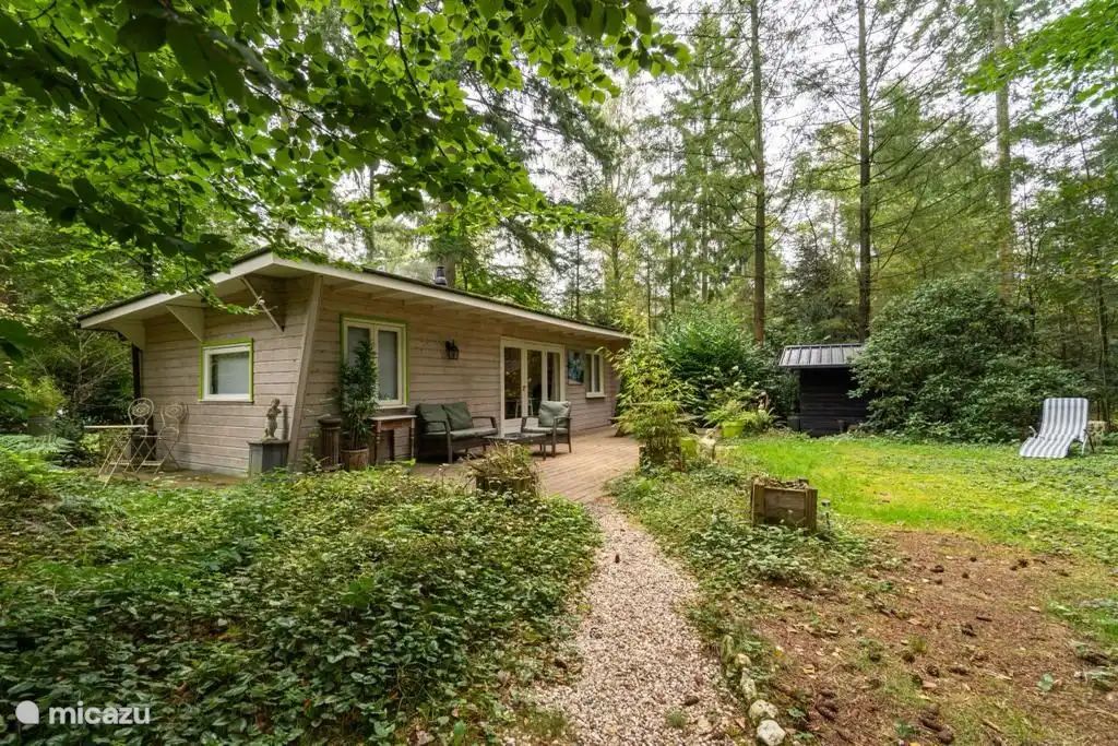 Guest house 325806 - Chalet Veluwe - Jutberg 78, No. 41