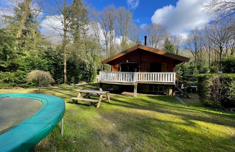 Gemuetliches Ferienhaus Cottage in Bennekom, Veluwe, mit Veranda und gruenem Garten.
