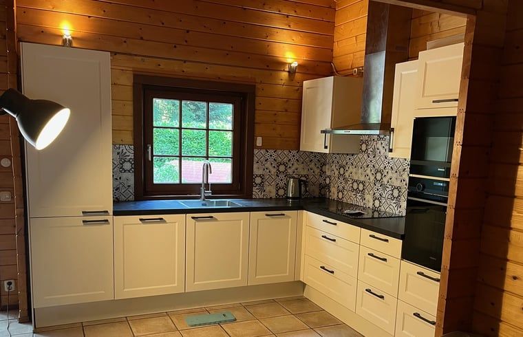 Pizzaofen im Garten des Ferienhauses in Bennekom, Veluwe, fuer koestliche Mahlzeiten im Freien.