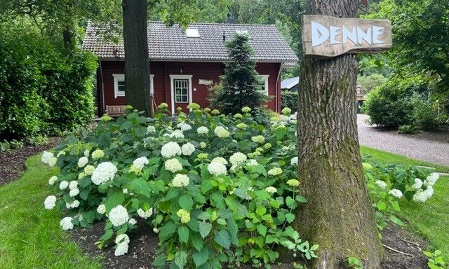 Boshuis Denne in Bennekom, Veluwe, Gelderland surrounded by green nature and colorful flowers at vacation home.