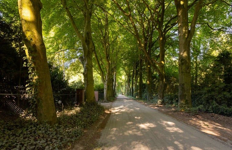 Verblijf 325916 - Vakantiewoning Veluwe - Huisje in Bennekom