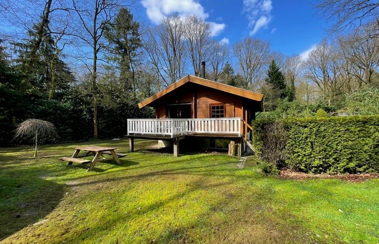 Guest house 325917 - Holiday property Veluwe - Vakantiehuisje in Bennekom