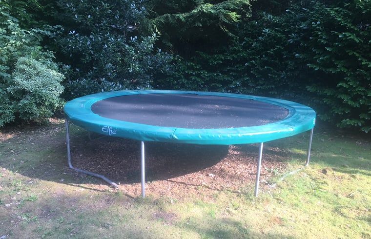 Guest house 325917 - Holiday property Veluwe - Vakantiehuisje in Bennekom