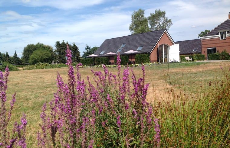 Vakantiehuisje in Eerbeek op de Veluwe, Gelderland, omgeven door kleurrijke bloemen en weidse natuur voor een ontspannen verblijf.