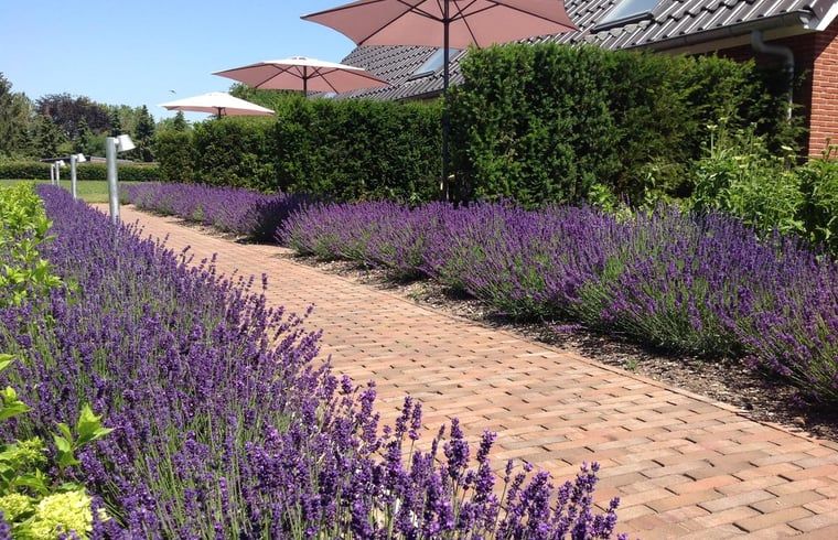 Verblijf 326006 - Vakantiewoning Veluwe - Vakantiehuisje in Eerbeek