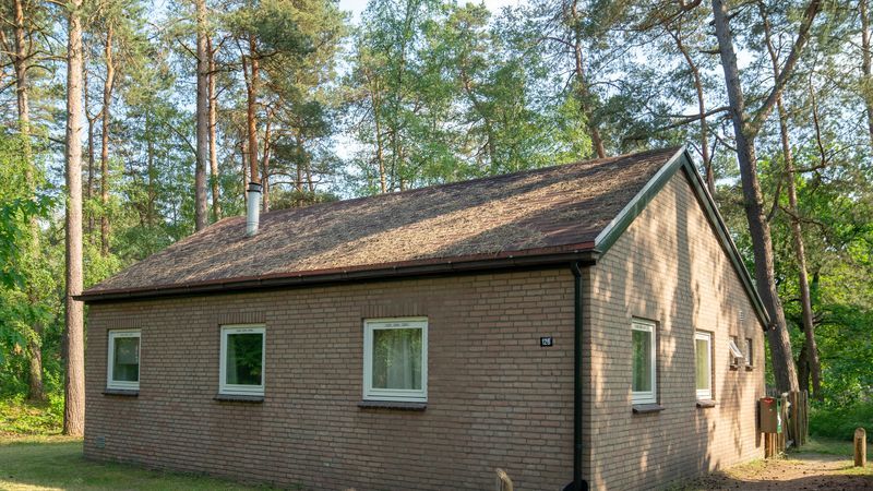 Buitenzijde van Coldenhove 6-persoons hondenbungalow omringd door natuur, Eerbeek, Veluwe.