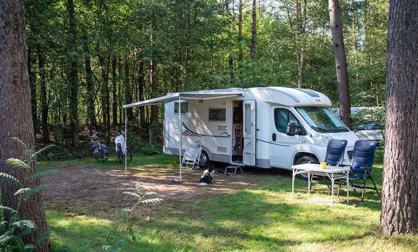 Coldenhove | Basis campingplaats | C5 in Eerbeek, Veluwe, Gelderland met camper en groen uitzicht.
