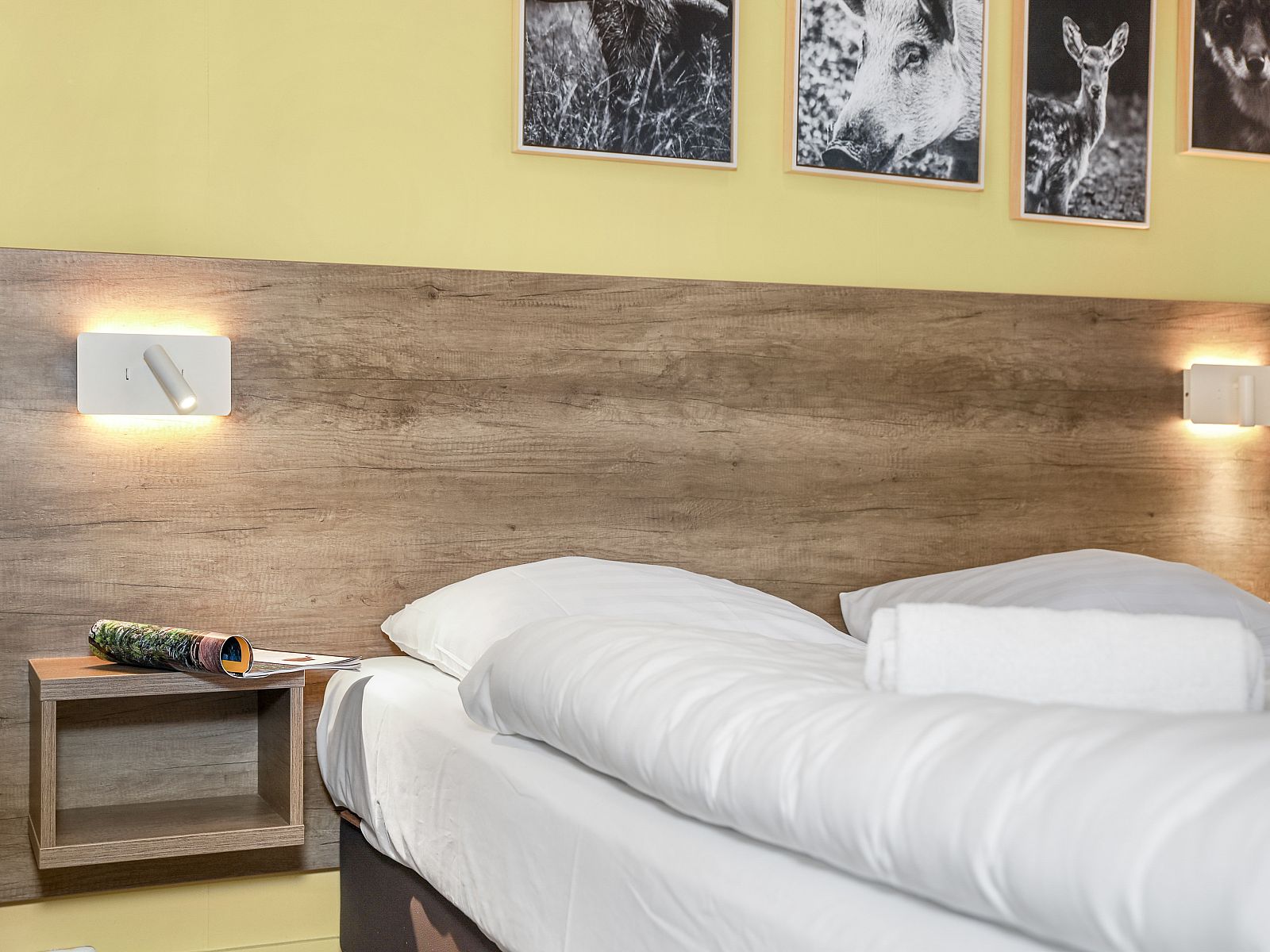 Verblijf 326061 - Bungalow Veluwe - Coldenhove | 4-persoons babybungalow | 4CN