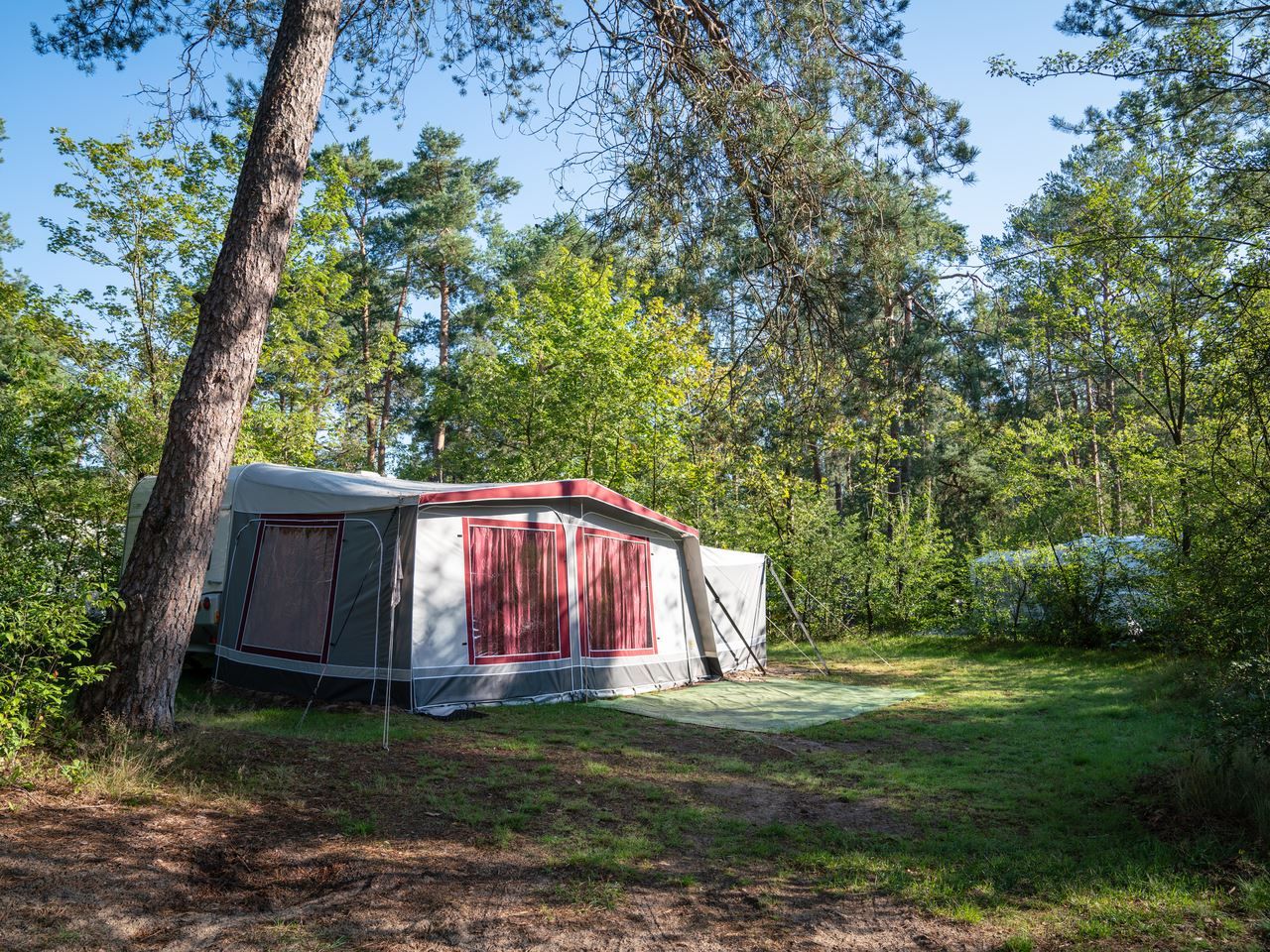Verblijf 326068 - Stacaravan Veluwe - Coldenhove | Comfort campingplaats | C3