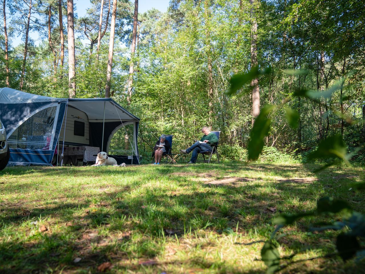Verblijf 326087 - Stacaravan Veluwe - Coldenhove | Basis campingplaats | C5