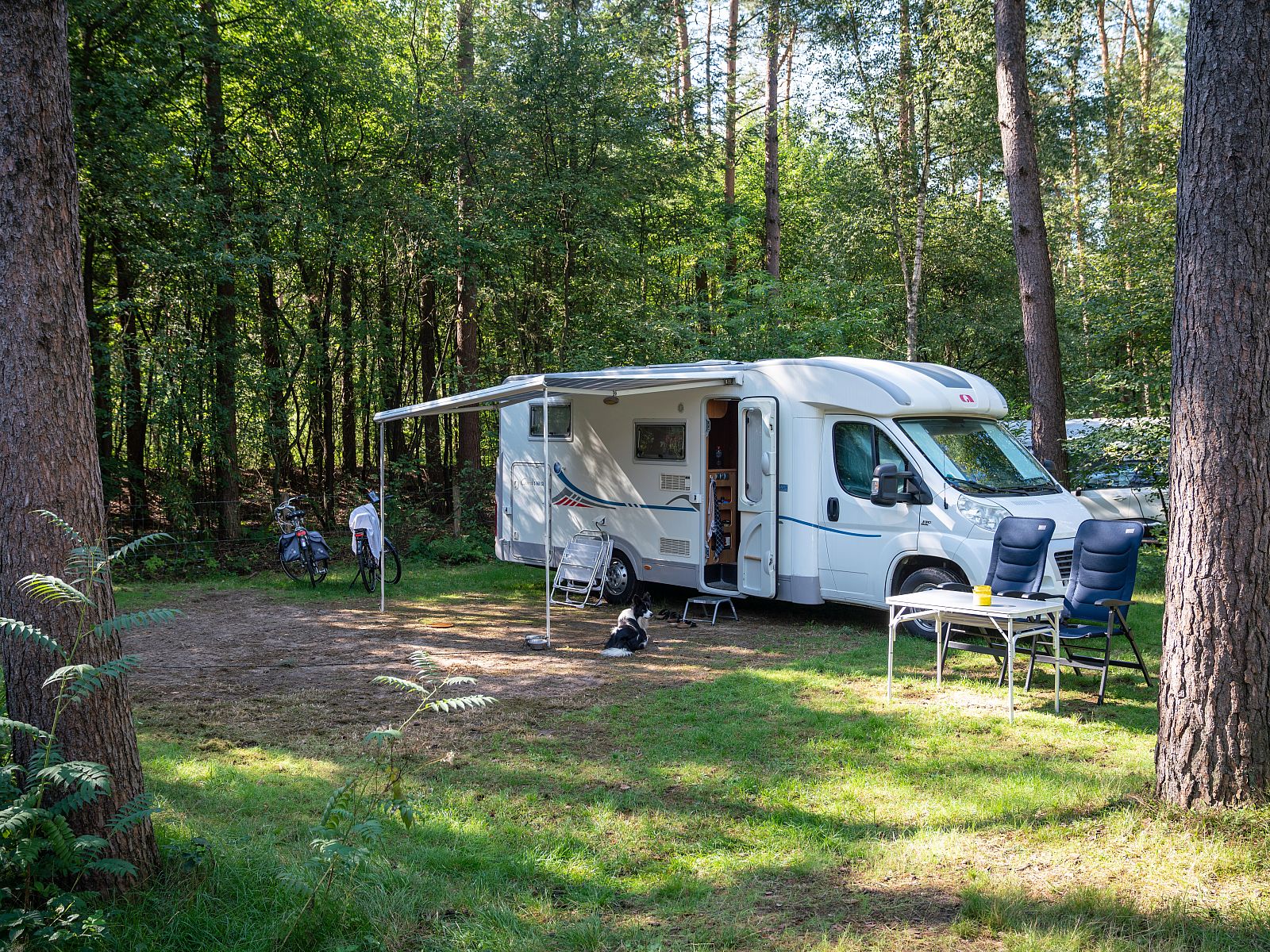 Verblijf 326087 - Stacaravan Veluwe - Coldenhove | Basis campingplaats | C5