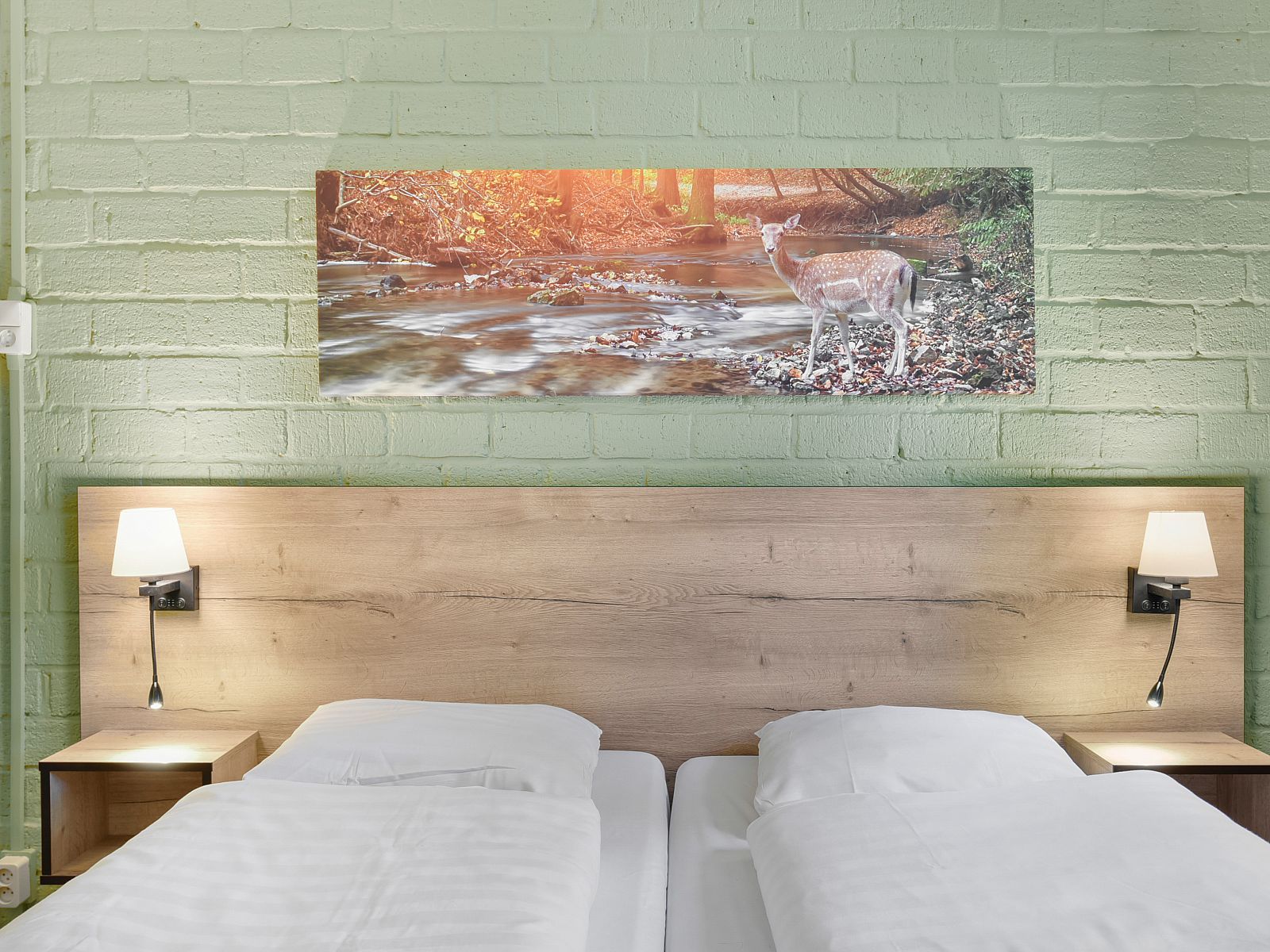 Verblijf 326088 - Bungalow Veluwe - Coldenhove | 6-persoons hondenbungalow | 6BD