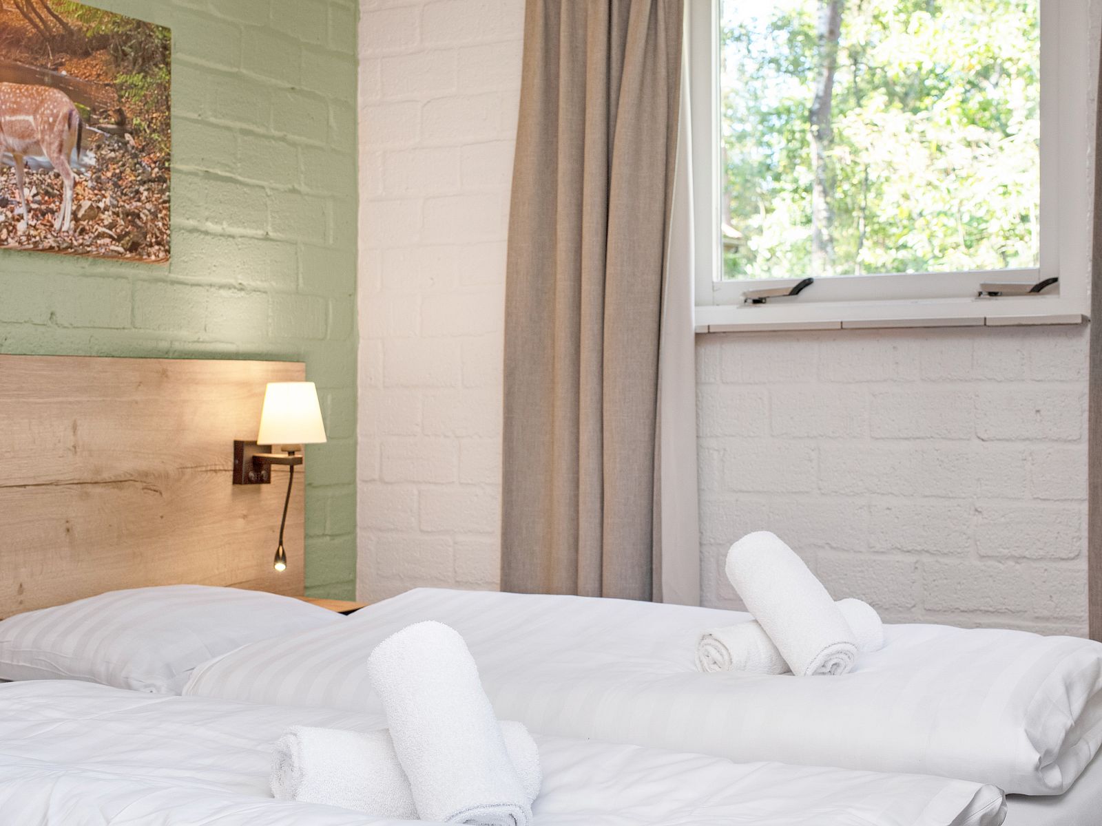 Verblijf 326088 - Bungalow Veluwe - Coldenhove | 6-persoons hondenbungalow | 6BD