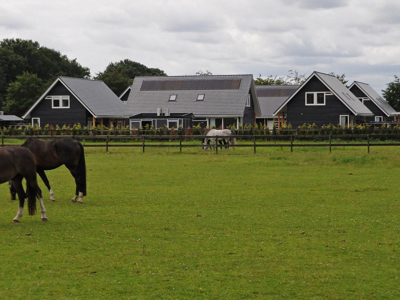 Unterkunft 326120 - Ferienhaus Veluwe - Vakantiehuis Anwesen "Oranjehorst"