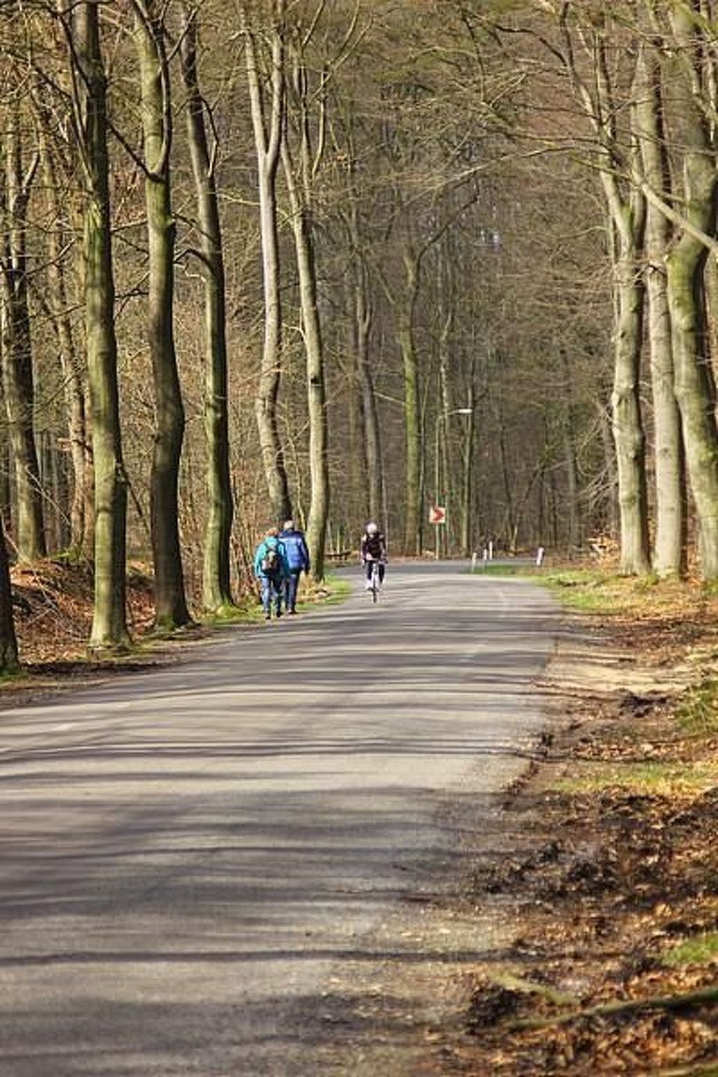 Unterkunft 326120 - Ferienhaus Veluwe - Vakantiehuis Anwesen "Oranjehorst"