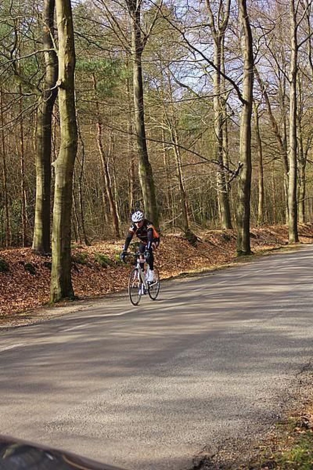 Unterkunft 326120 - Ferienhaus Veluwe - Vakantiehuis Anwesen "Oranjehorst"