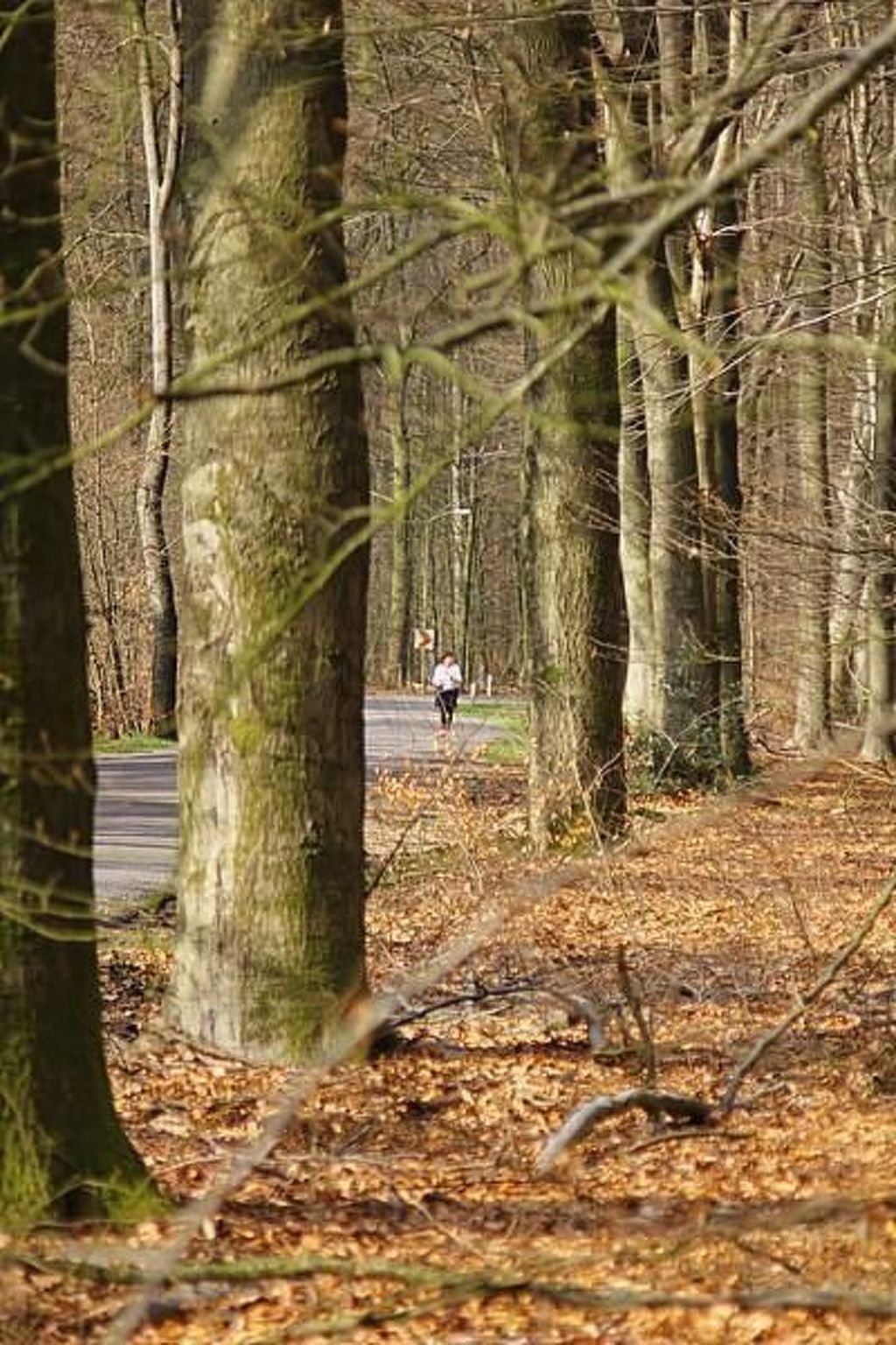 Unterkunft 326120 - Ferienhaus Veluwe - Vakantiehuis Anwesen "Oranjehorst"