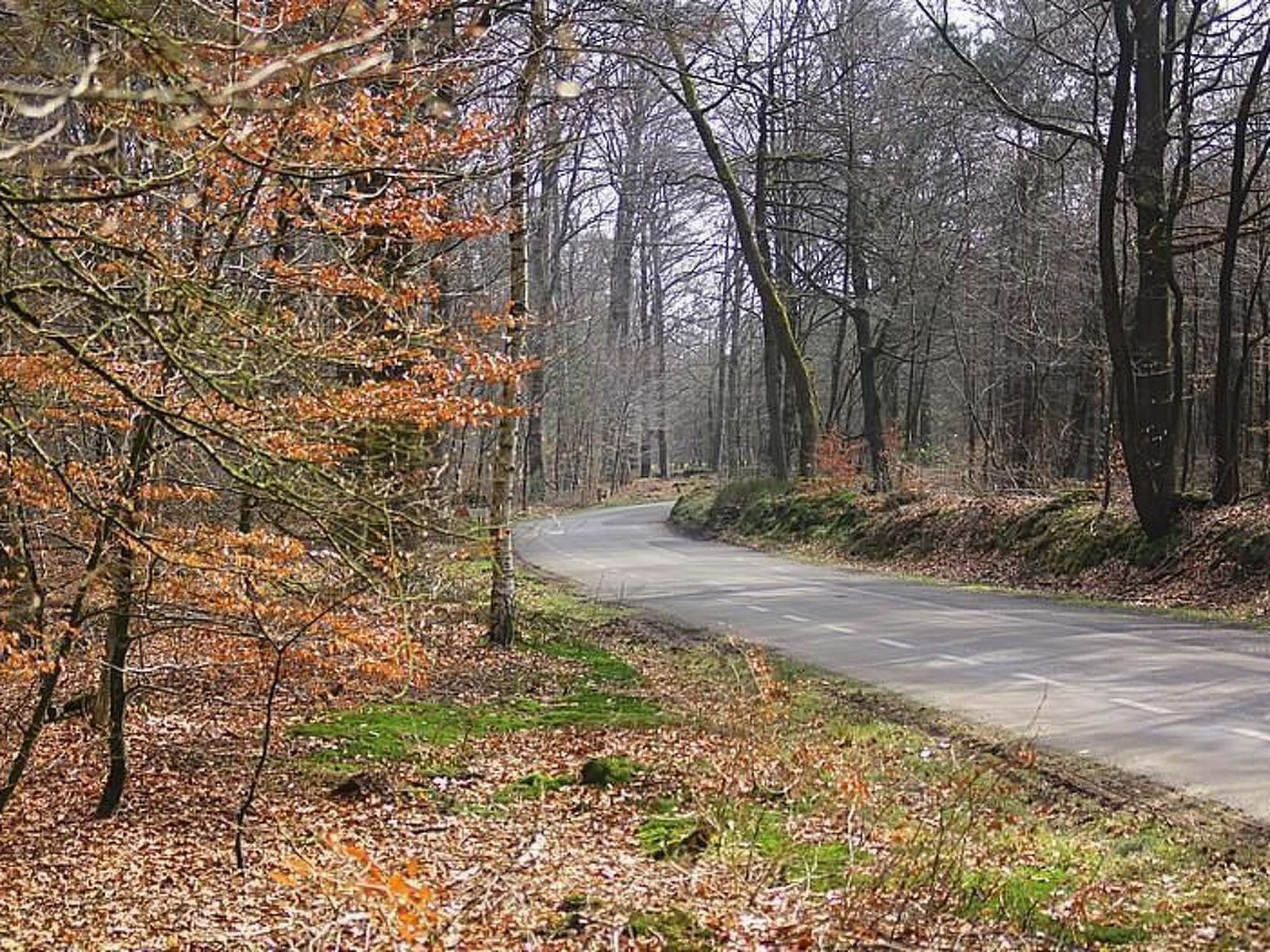 Unterkunft 326120 - Ferienhaus Veluwe - Vakantiehuis Anwesen "Oranjehorst"