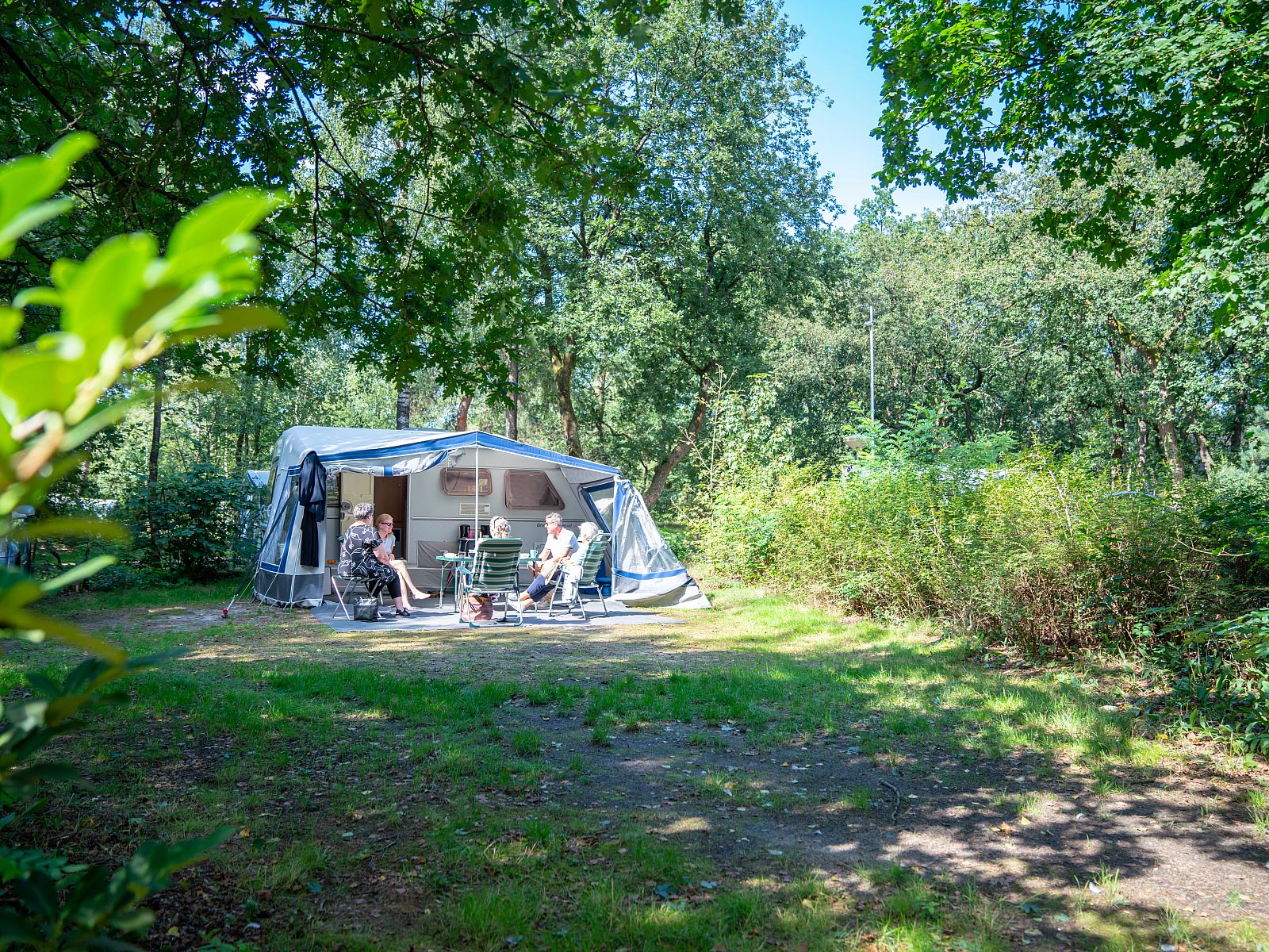 Guest house 3264115 - Fixed travel trailer Veluwe - Rabbit Hill | Comfort campingplaats | C16