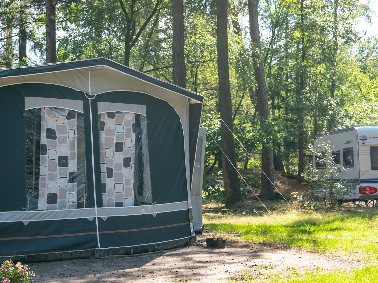 Unterkunft 3264129 - Mobilheim Veluwe - Rabbit Hill | Luxe campingplaats | CS16+