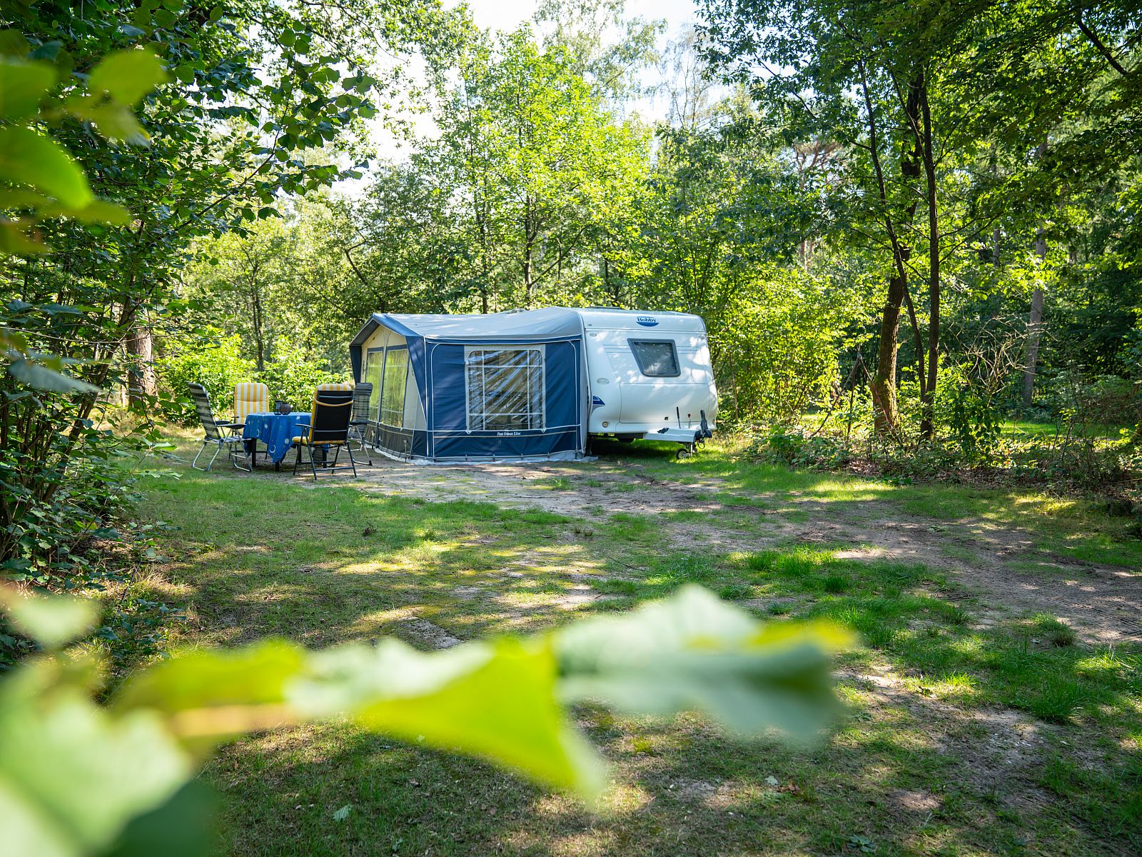 Unterkunft 326456 - Mobilheim Veluwe - Rabbit Hill | Luxe campingplaats | C16L
